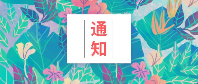 信息技术考试用的软件