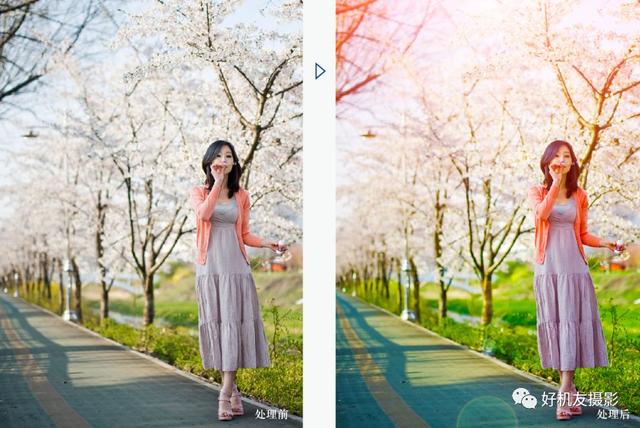 cc 软件4.6