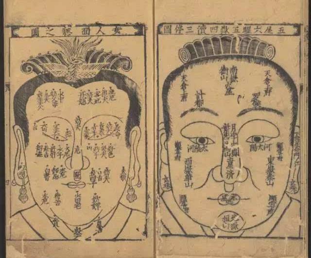 术以载道软件