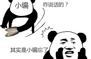 网站中文编程软件 有没有中文编程软件做网站开发的