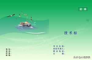 软件技术投标范本 软件项目投标书中的技术方案怎么写