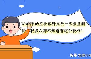 word2014分隔符 word里的段落分隔符是什么