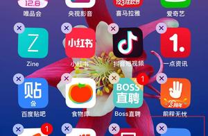 能隐藏应用程序的软件 有什么软件能隐藏手机里的应用程序