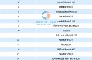 全国软件企业排名 国内医疗软件公司排名