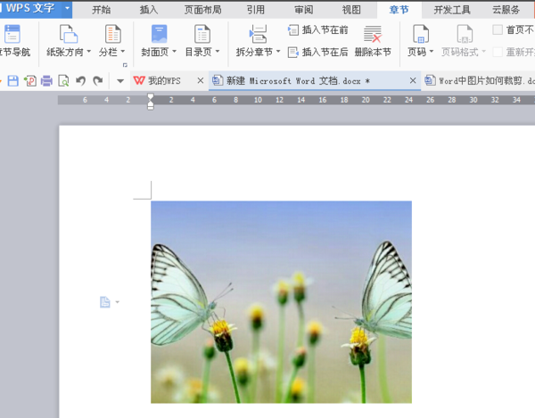 word里的图片怎么剪切 在WORD中如何裁剪图片大小