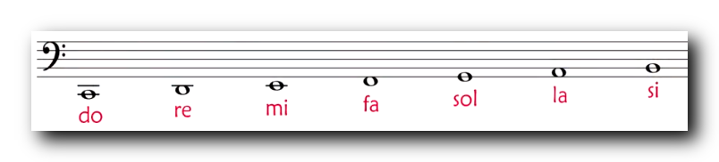 【音乐理论】音与音高 ( 音区 | 小字一组 | 小字组 | 大字组 )