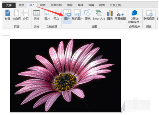 word图片透明度word中怎么设置图片透明度啊