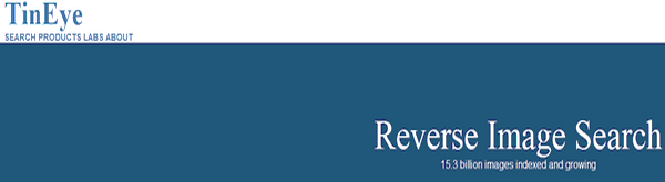 com/tineye是一个利用已有图片搜索与此类似图片的反向图片搜索引擎.